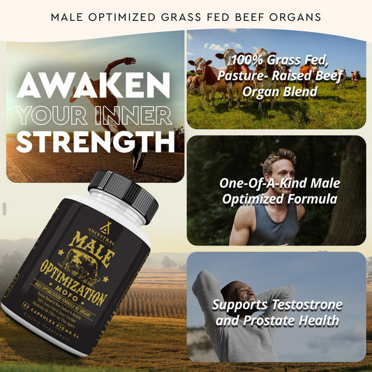 Suplemento Ancestral Mofo de Órganos de Res Alimentada con Pasto para Hombres – Energía y Vitalidad