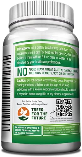GreeNatr Cápsulas de Moringa Oleifera Pura 1000mg | Paquete de 3 Frascos