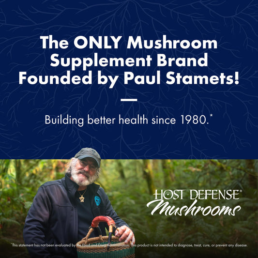Host Defense Mushrooms Lion's Mane – Brain Health, Focus & Memory (120 Capsules) - Calm Era
