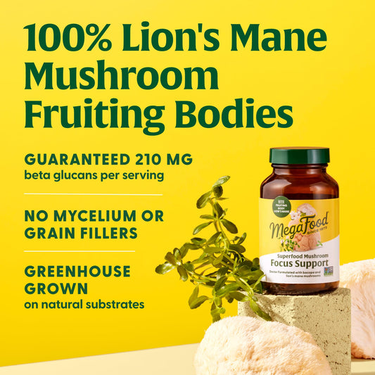 MegaFood Superfood Champiñón Enfoque y Soporte – Melena de León con Bacopa 60 Cápsulas