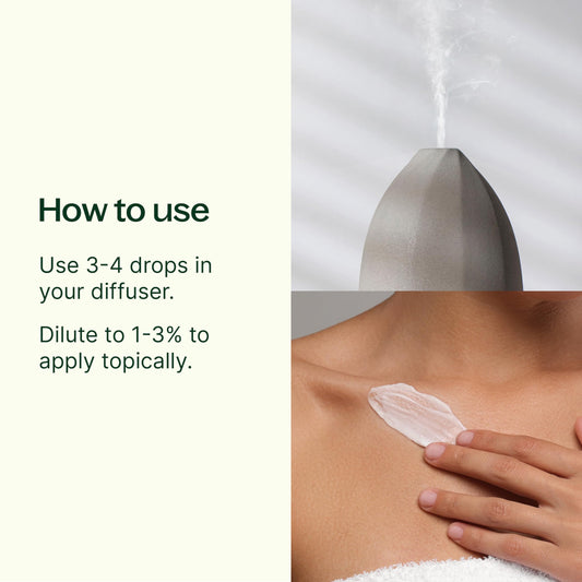 Plant Therapy Mezcla de aceites esenciales desodorizantes 30ml