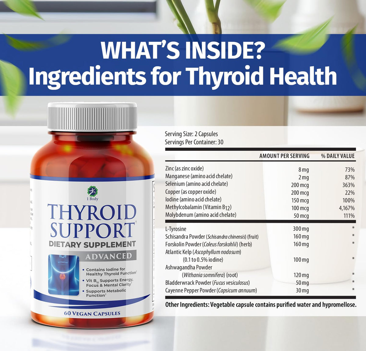 1 Body Thyroid Support Supplement – 90-Day, 3 Pack (Non-GMO Vegetarian) - Calm Era