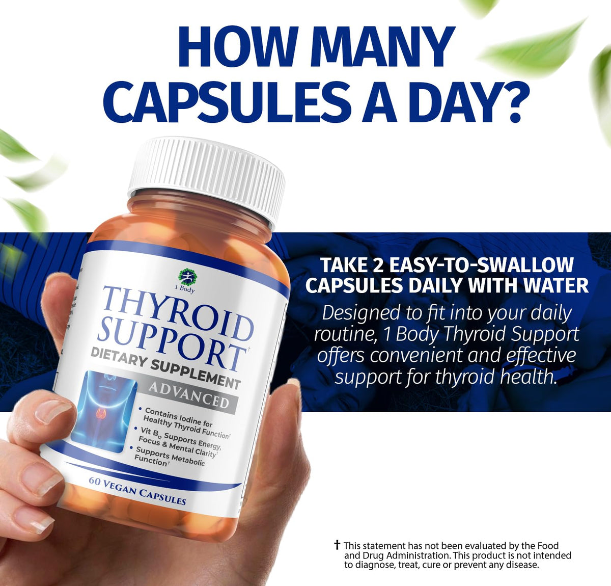 1 Body Thyroid Support Supplement – 90-Day, 3 Pack (Non-GMO Vegetarian) - Calm Era
