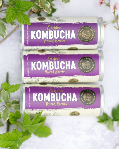 Vitality Bundle | 20 cans | Mixed Berry and Peach & Turmeric