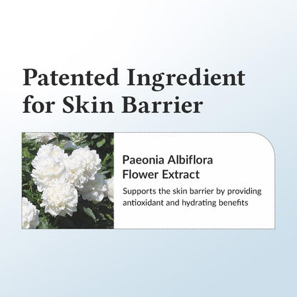 DR. ALTHEA 147 Barrier Cream – Daily Skin Barrier Repair & Care