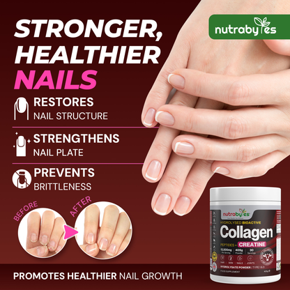 Collagen Powder with Creatine Monohydrate | Bovine Collagen & Micronised Creatine | Unflavoured | 405g