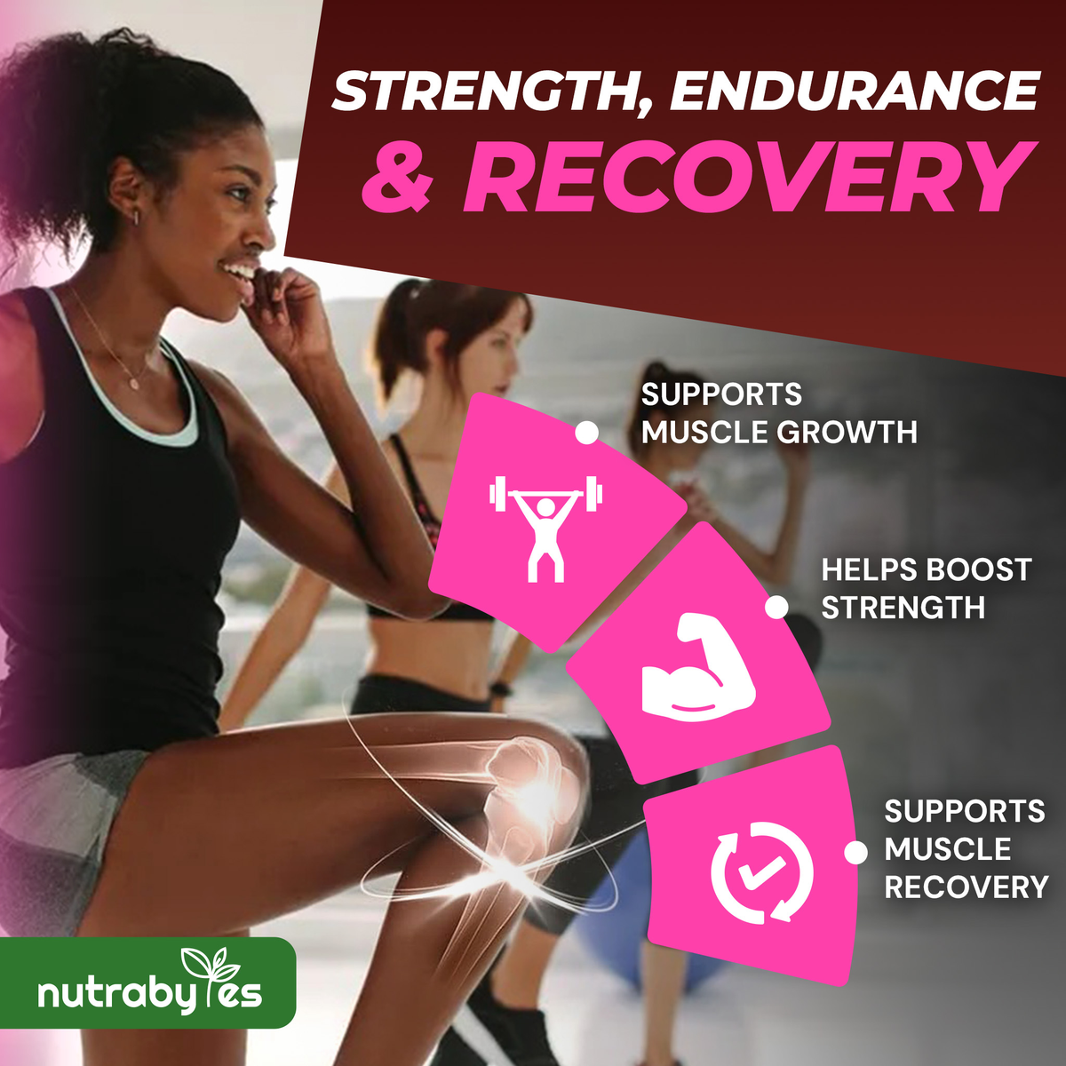 Collagen Powder with Creatine Monohydrate | Bovine Collagen & Micronised Creatine | Unflavoured | 405g
