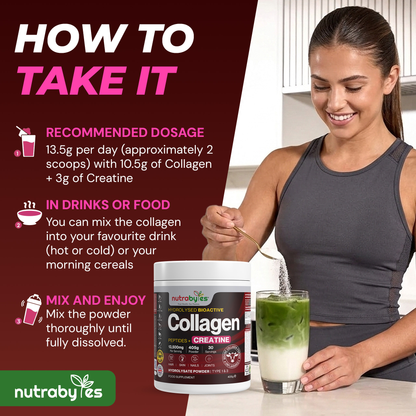 Collagen Powder with Creatine Monohydrate | Bovine Collagen & Micronised Creatine | Unflavoured | 405g