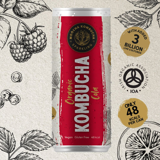 Kombucha Ecológica con Sabor a Cola