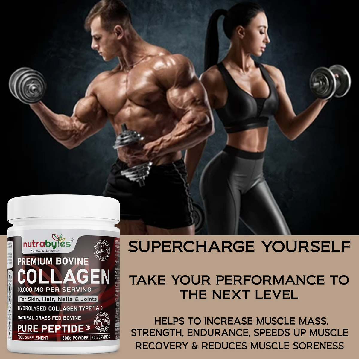 Premium Bovine Collagen Powder 10,000mg | Pure Hydrolysed Peptides Types 1 & 3 | Unflavoured