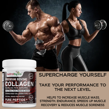 Premium Bovine Collagen Powder 10,000mg | Pure Hydrolysed Peptides Types 1 & 3 | Unflavoured