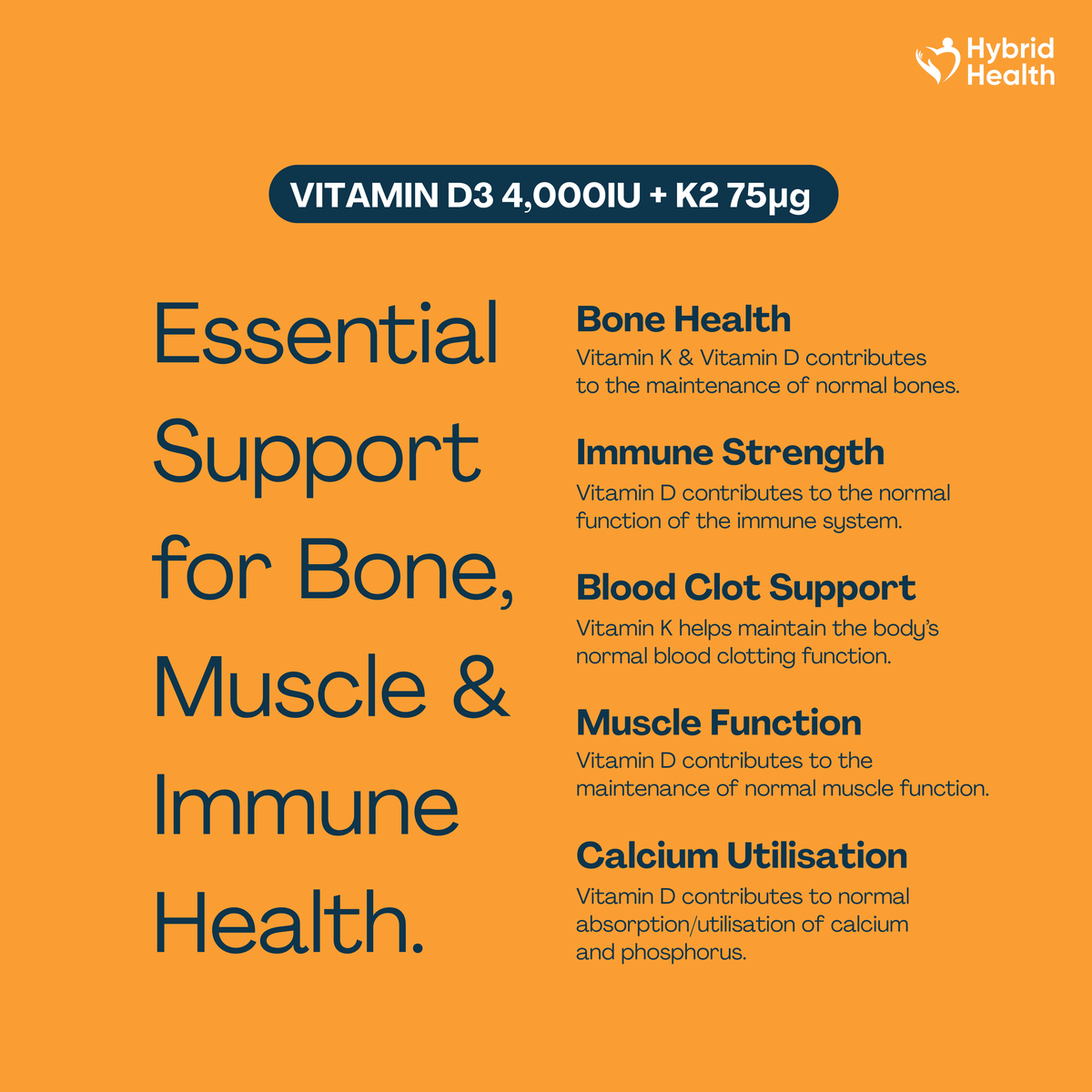 Hybrid Health Vitamin D3 & K2 Tablets