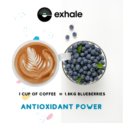 The Organic Decaf Coffee by Exhale
