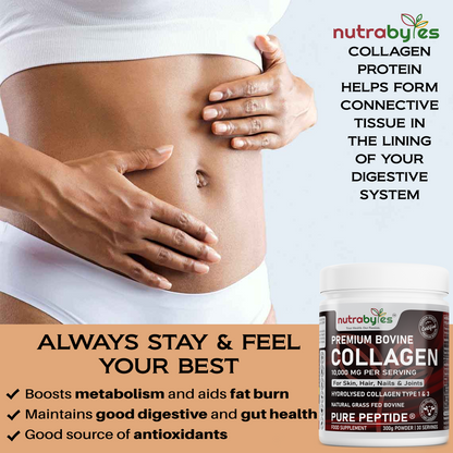 Premium Bovine Collagen Powder 10,000mg | Pure Hydrolysed Peptides Types 1 & 3 | Unflavoured