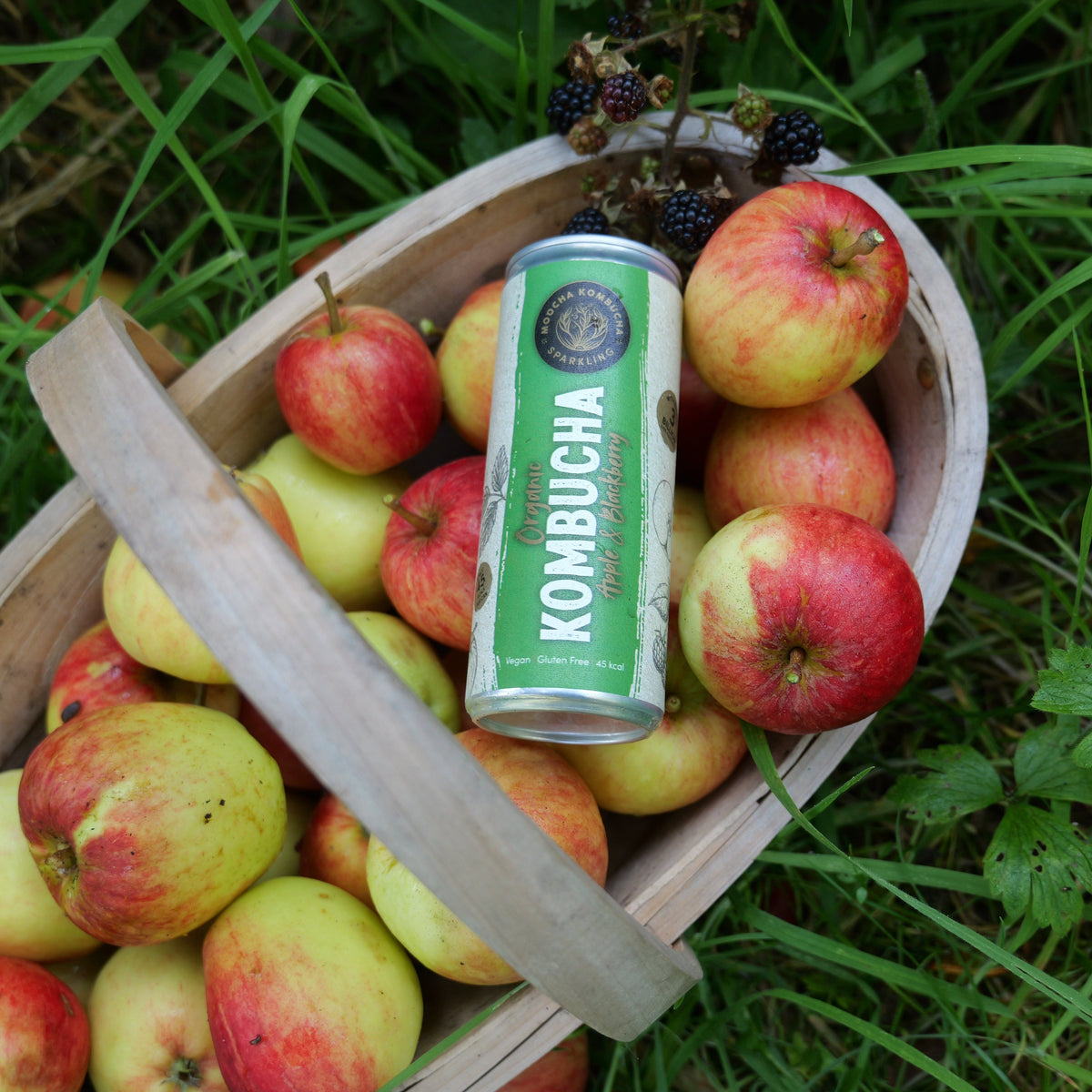 Kombucha Ecológica Sabor Manzana y Mora