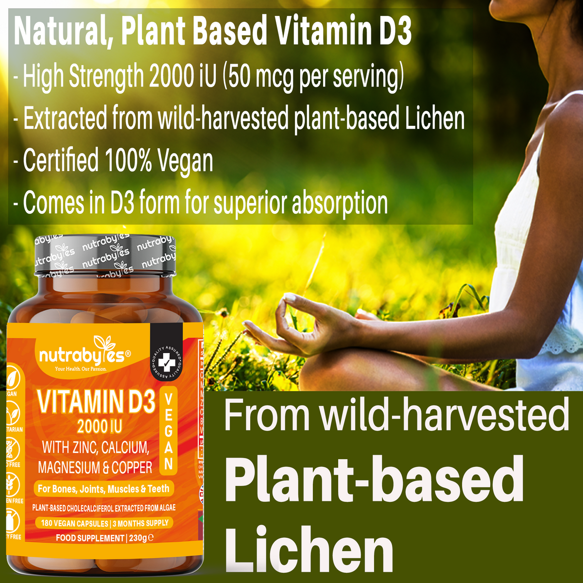 Vegan Vitamin D3 2000 IU | with Calcium, Magnesium, Zinc & Copper | 180 Capsules | 3-Month Supply