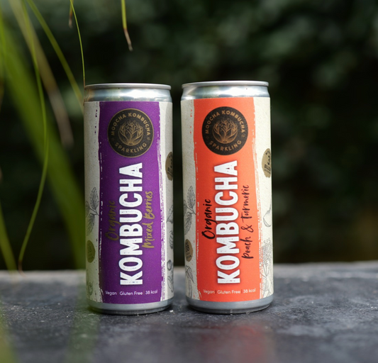 Two cans of Kombucha on a stone surface with a blurred green background