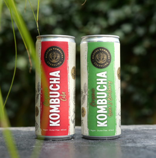 Two cans of Kombucha on a surface with a blurred green background