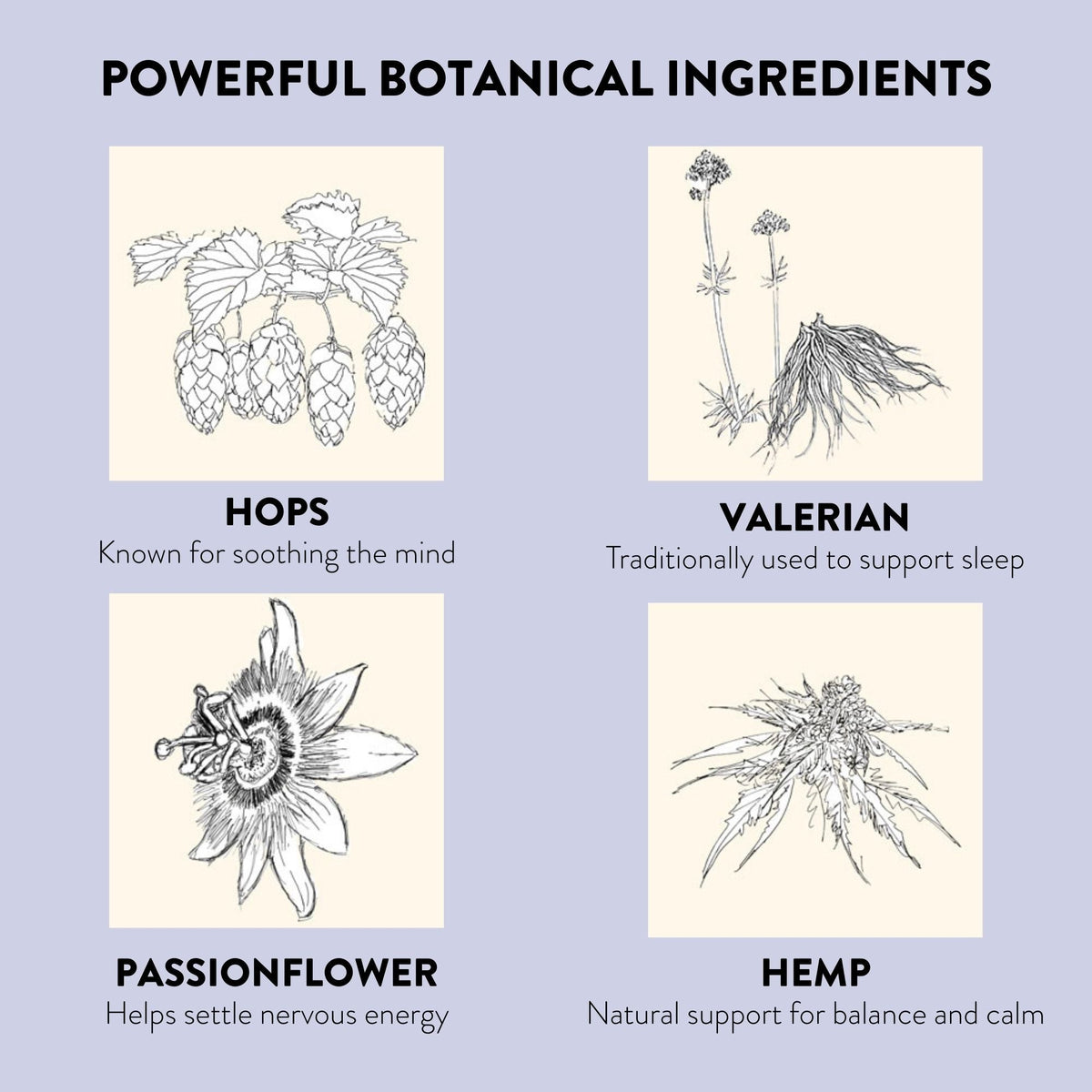 KLORIS Parches para Dormir con CBD y Hierbas