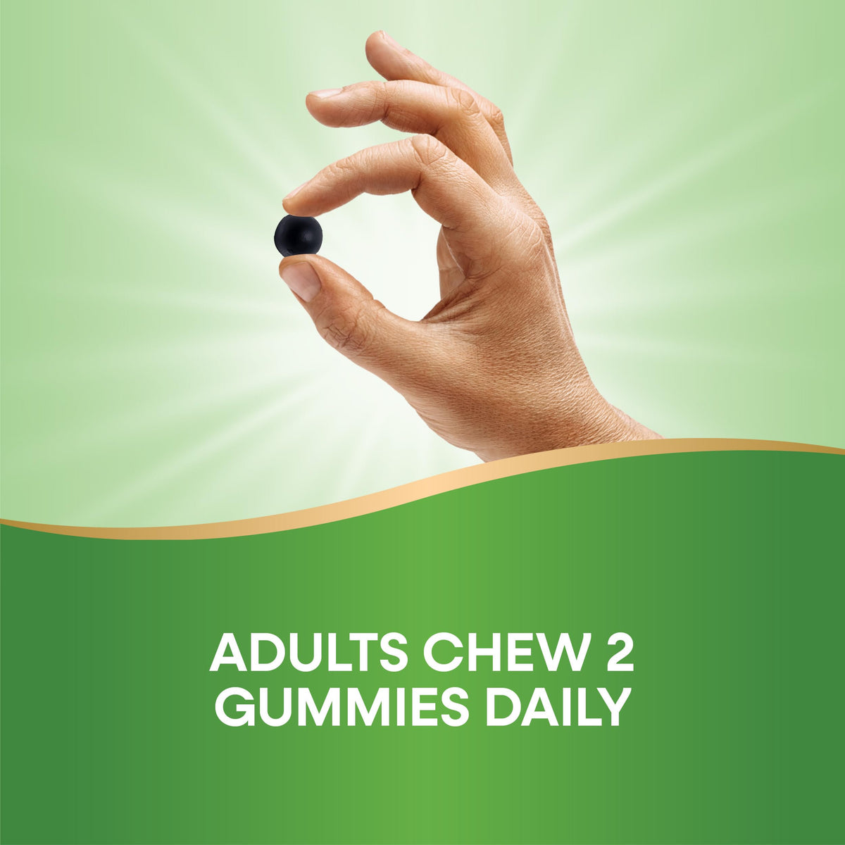 Nature’s Way Gomitas de clorofila Chlorofresh — Frutas del huerto, 60 unidades