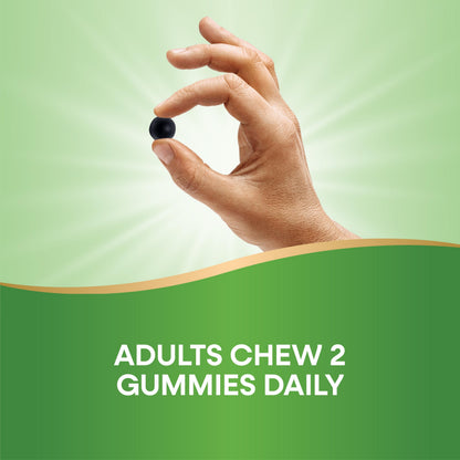 Nature’s Way Gomitas de clorofila Chlorofresh — Frutas del huerto, 60 unidades