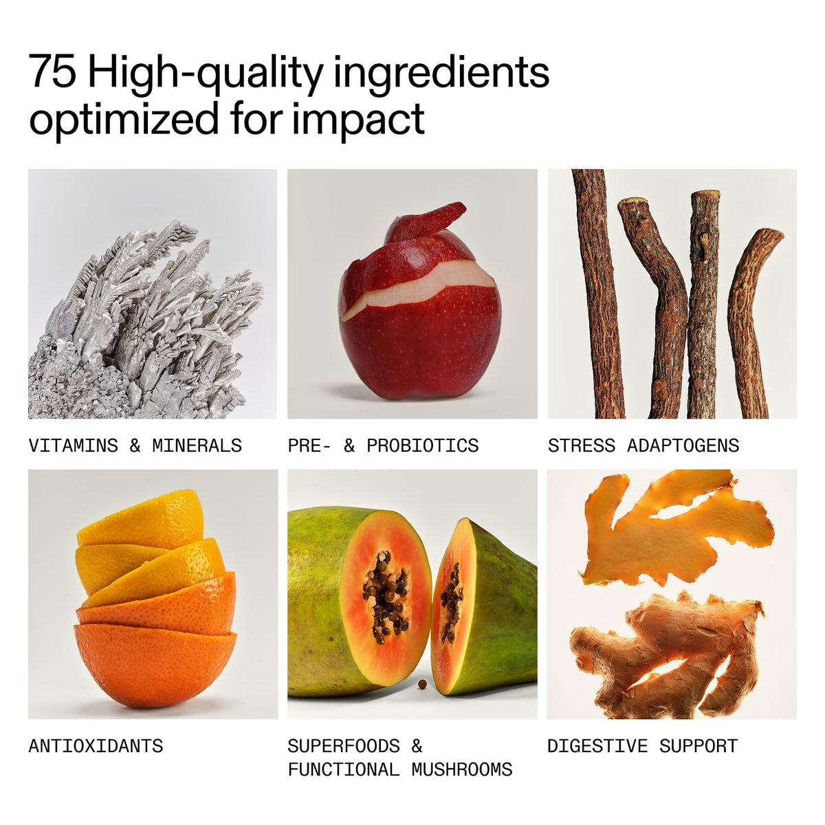 AG1 Greens Powder Supplement | Gut Health, Multivitamin & Probiotic | Gluten Free, Vegan & Keto Friendly | 75 Vitamins | Family Value Kit - Classic Formula - Calm Era