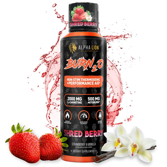 ALPHA LION Burn2O L-Carnitina Líquida 2000mg – Quemador de Grasa Premium y Pre-Entrenamiento para Hombres y Mujeres | ShredBerry