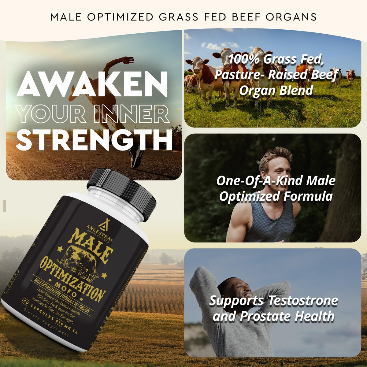 Ancestral Mofo Grass-Fed Beef Organ Supplement for Men – Energy & Vitality