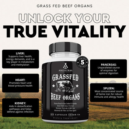 Ancestral Supplements Órganos de Res Alimentado con Pasto 180 cápsulas | Mezcla de 5 Órganos