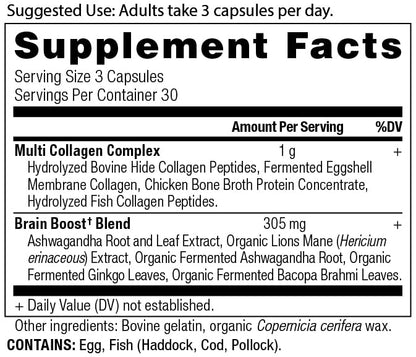 Ancient Nutrition Collagen Brain Boost – 10 Types of Collagen | 90 Capsules - Calm Era