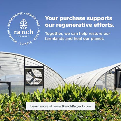 Ancient Nutrition Multi-Collagen Peptides – Types I, II, III, V & X | 90 Capsules - Calm Era