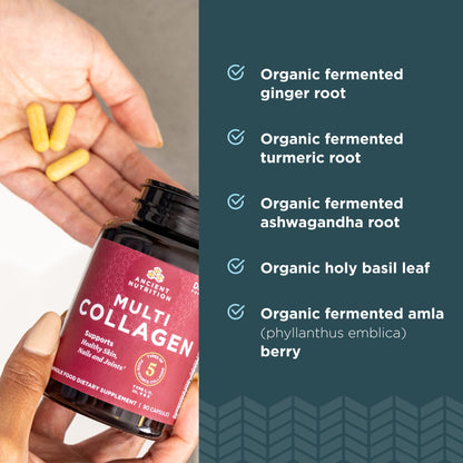 Ancient Nutrition Multi-Collagen Peptides – Types I, II, III, V & X | 90 Capsules - Calm Era