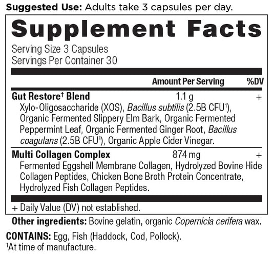 Ancient Nutrition Multi Collagen + Probiotics – Gut Restore | 90 Capsules - Calm Era