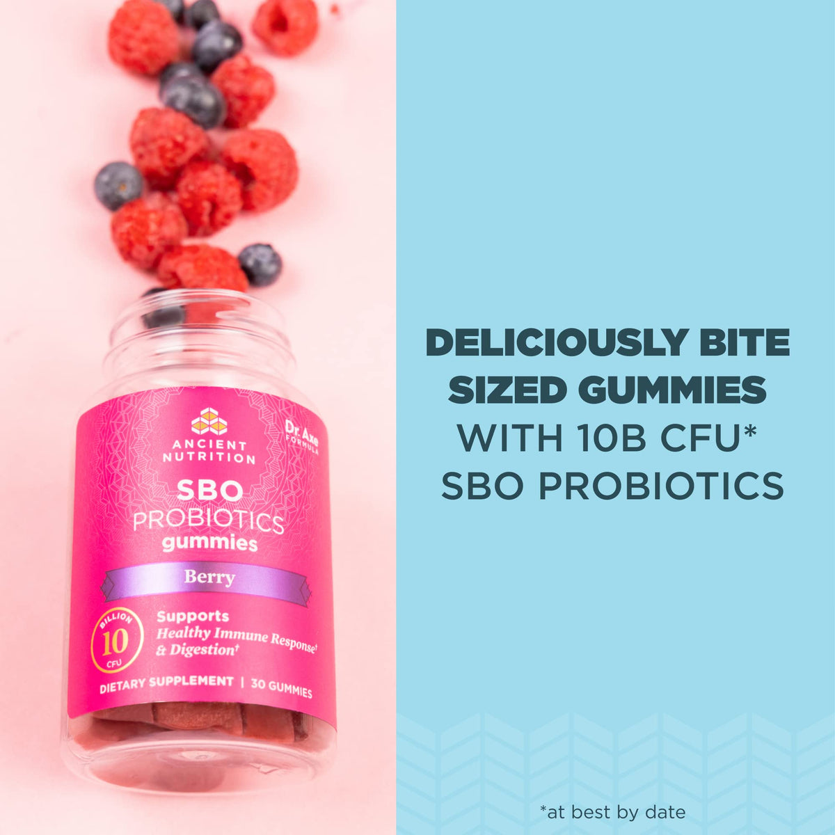 Ancient Nutrition SBO Probiotics Berry Gummies – 10B CFU | 60 Count