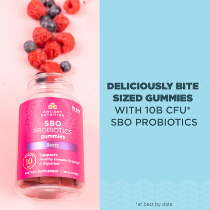 Ancient Nutrition SBO Probiotics Berry Gummies – 10B CFU | 60 Count