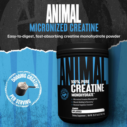 Animal Creatine Monohydrate Powder – Unflavored | 1kg - Calm Era