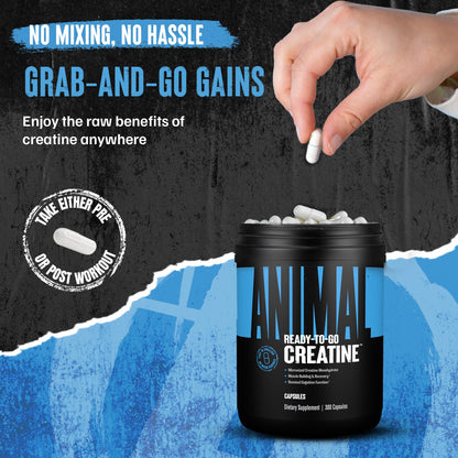 Animal Micronized Creatine Monohydrate Capsules | 300 Caps - Calm Era