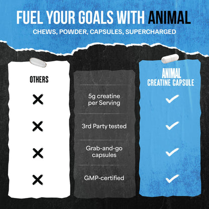Animal Micronized Creatine Monohydrate Capsules | 300 Caps - Calm Era