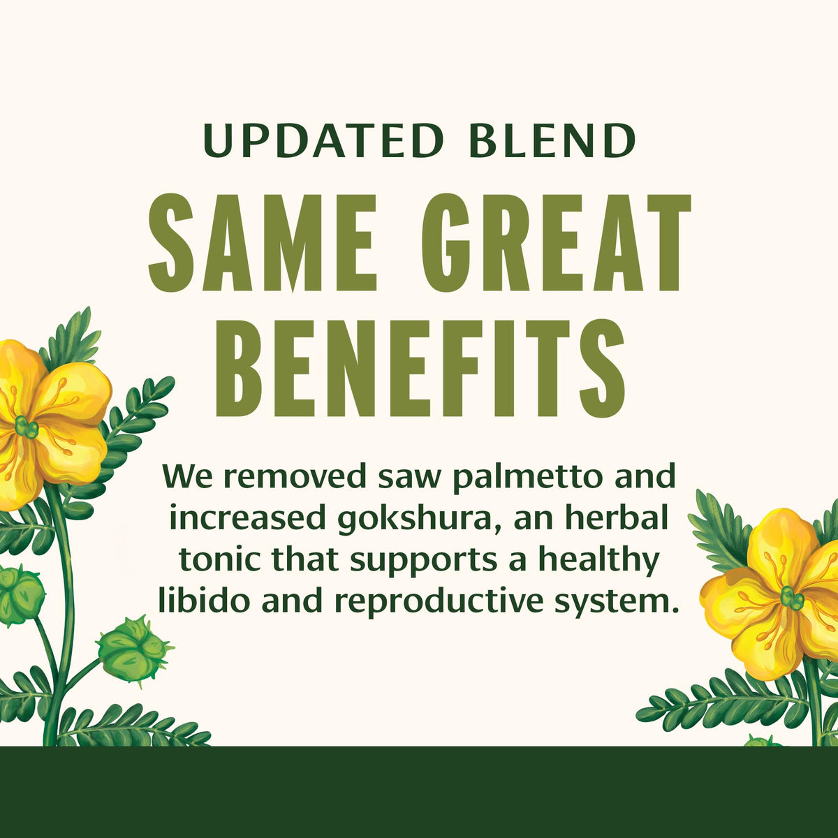Banyan Botanicals Tabletas de apoyo para hombres – Ashwagandha, Gokshura y Mucuna, 90 tabletas