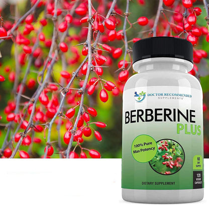 Berberine Plus 1200 mg | Doctor Recommended Supplements | 120 Veggie Capsules (Pack of 2) - Calm Era
