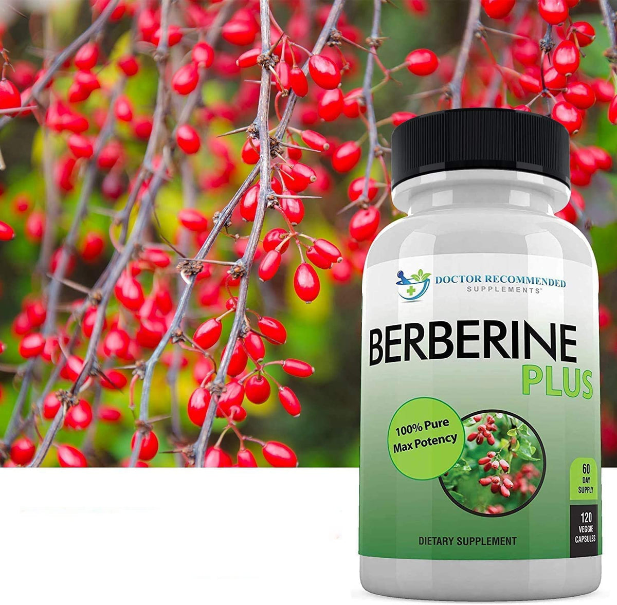 Berberine Plus 1200 mg | Doctor Recommended Supplements | 120 Veggie Capsules (Pack of 2) - Calm Era