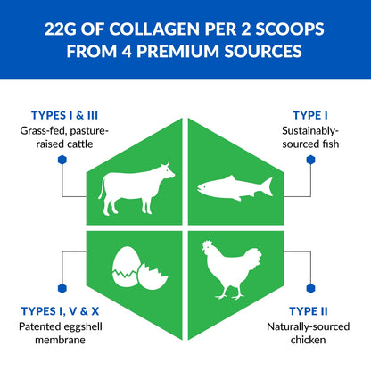 BioTrust Ageless Multi Collagen Peptides – 5 Types I II III V X | Unflavored | 2-Pack