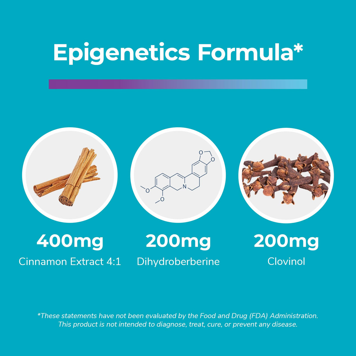 Bright Naturals Glycevia – GlucoVantage Dihydroberberine & Cinnamon | 90 Servings - Calm Era