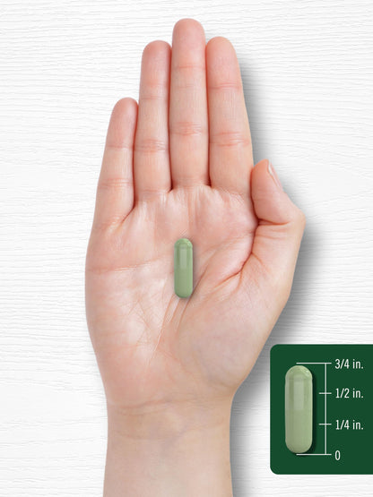 Cápsulas de moringa oleifera de Carlyle 6000 mg | Paquete de 2 de 180 unidades | Sin OMG