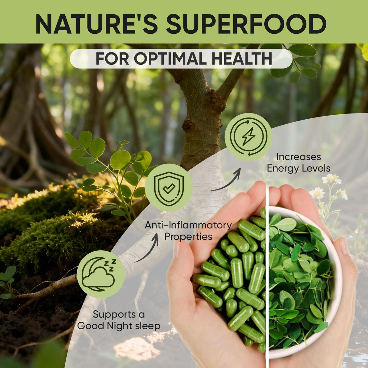 Golden Chapter Cápsulas de Moringa con Hierro, Magnesio, B12 y Vitamina C, 60 unidades