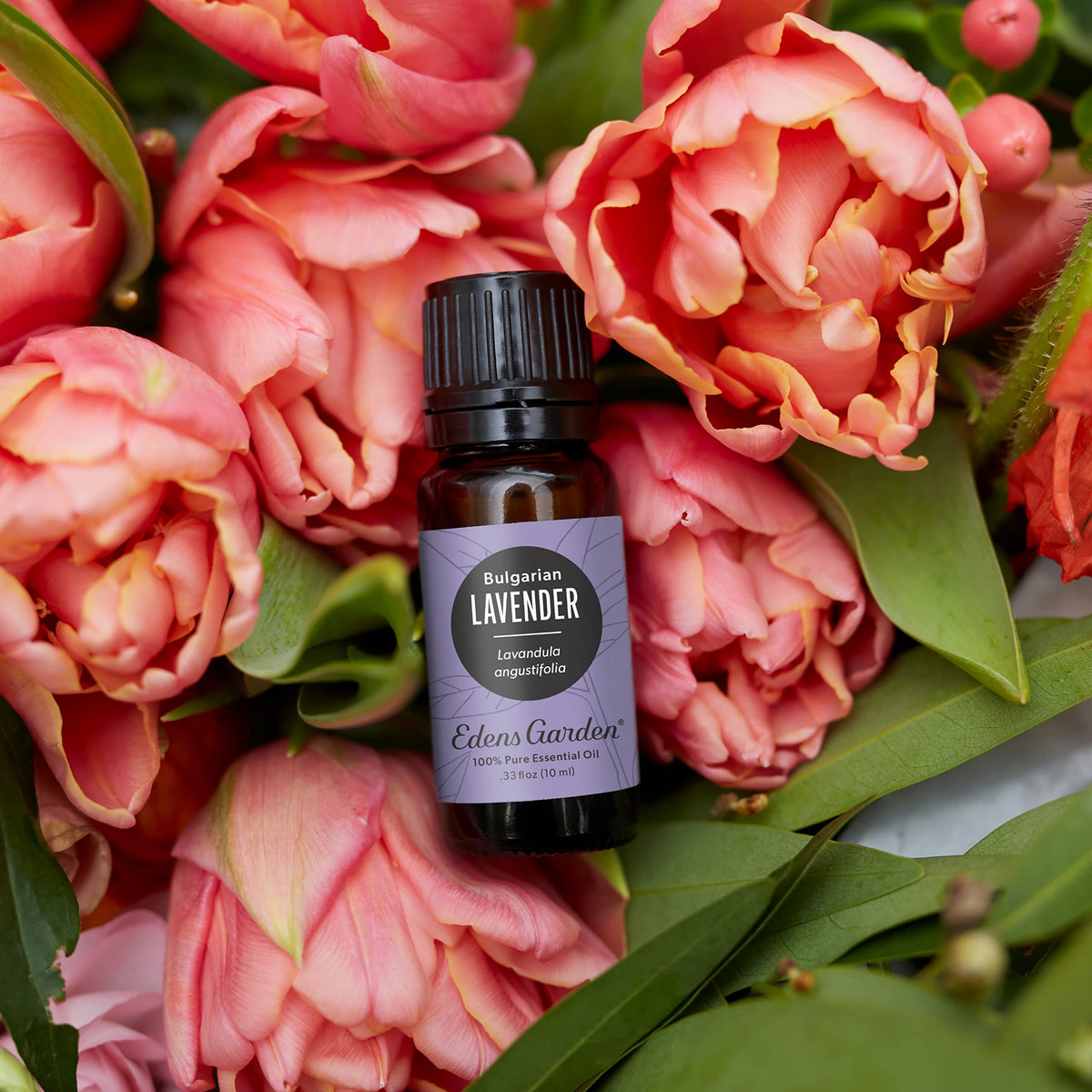 Aceite Esencial de Lavanda Búlgara Edens Garden 10ml