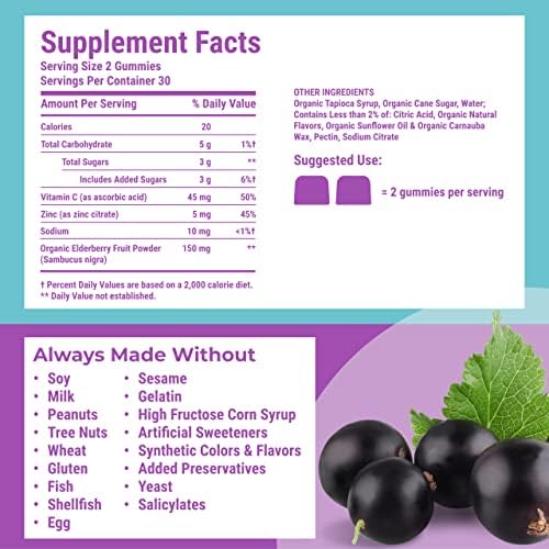 Hyland’s Organic Elderberry Plus Gummies — with Zinc & Vitamin C, 60 Count