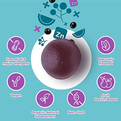Hyland’s Organic Elderberry Plus Gummies — with Zinc & Vitamin C, 60 Count