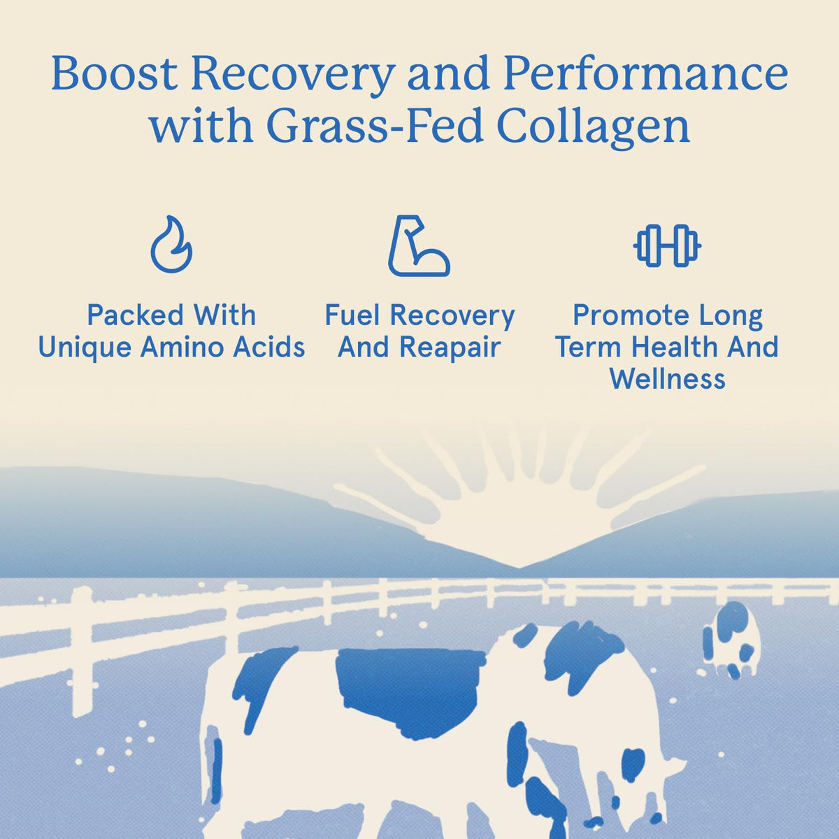 Equip Foods Grass-Fed Collagen Powder – Unflavored, Non-GMO | 30 Servings