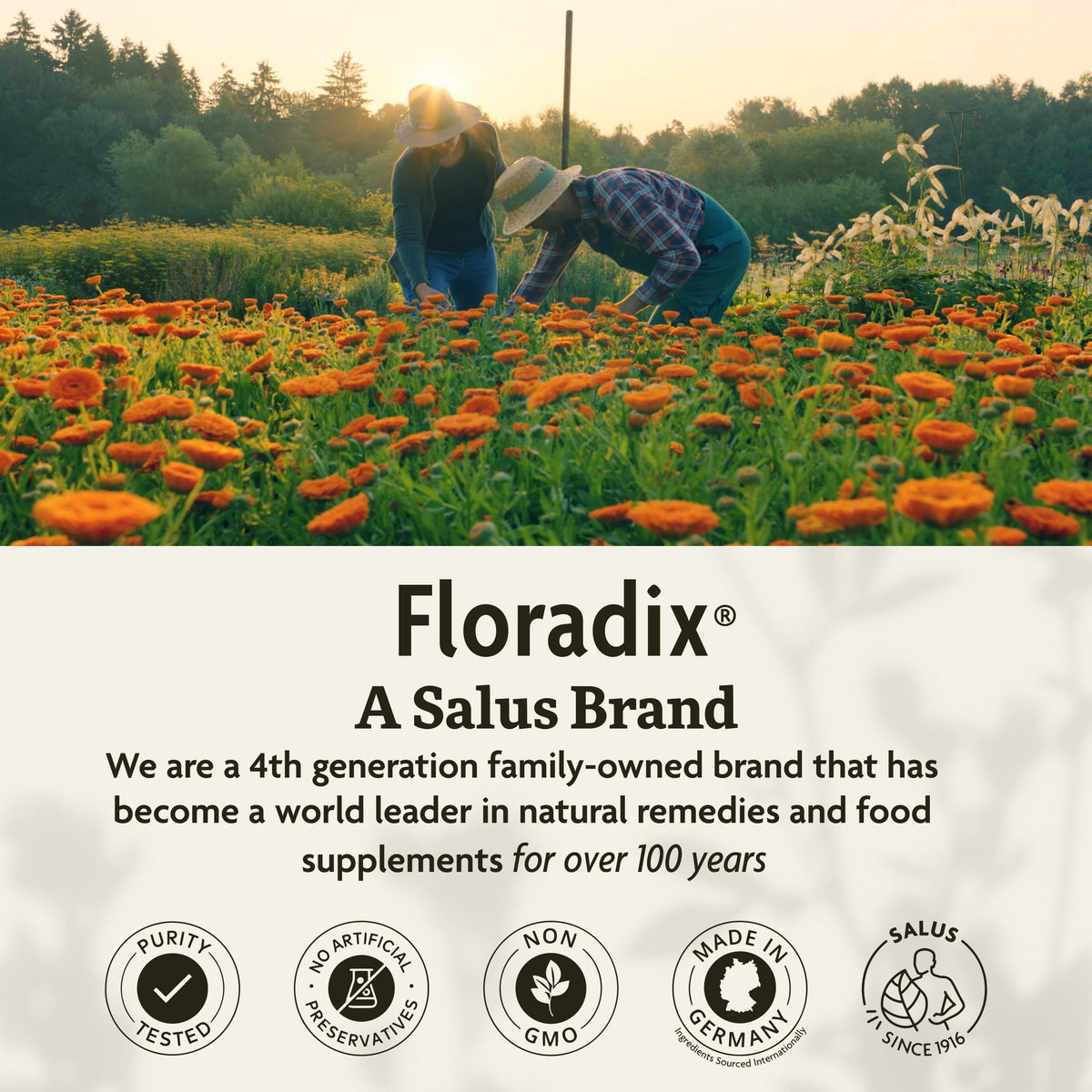 Floradix Floravital Liquid Iron & Vitamin Formula – Vegan | 500ml - Calm Era